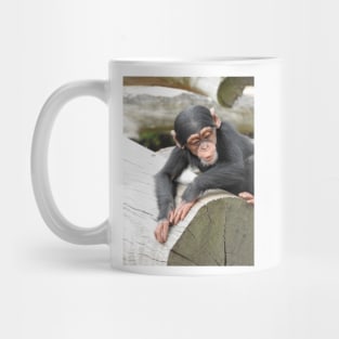 Baby Chimpanzee Mug